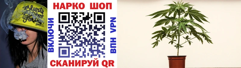  Кокаин Пошехонье