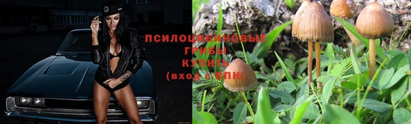 МДПВ Осташков