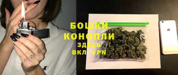 МДПВ Осташков