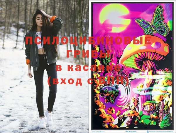 прущие грибы Переславль-Залесский