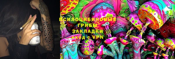 МДПВ Осташков