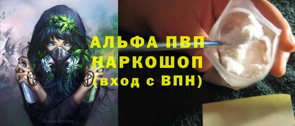 прущие грибы Переславль-Залесский